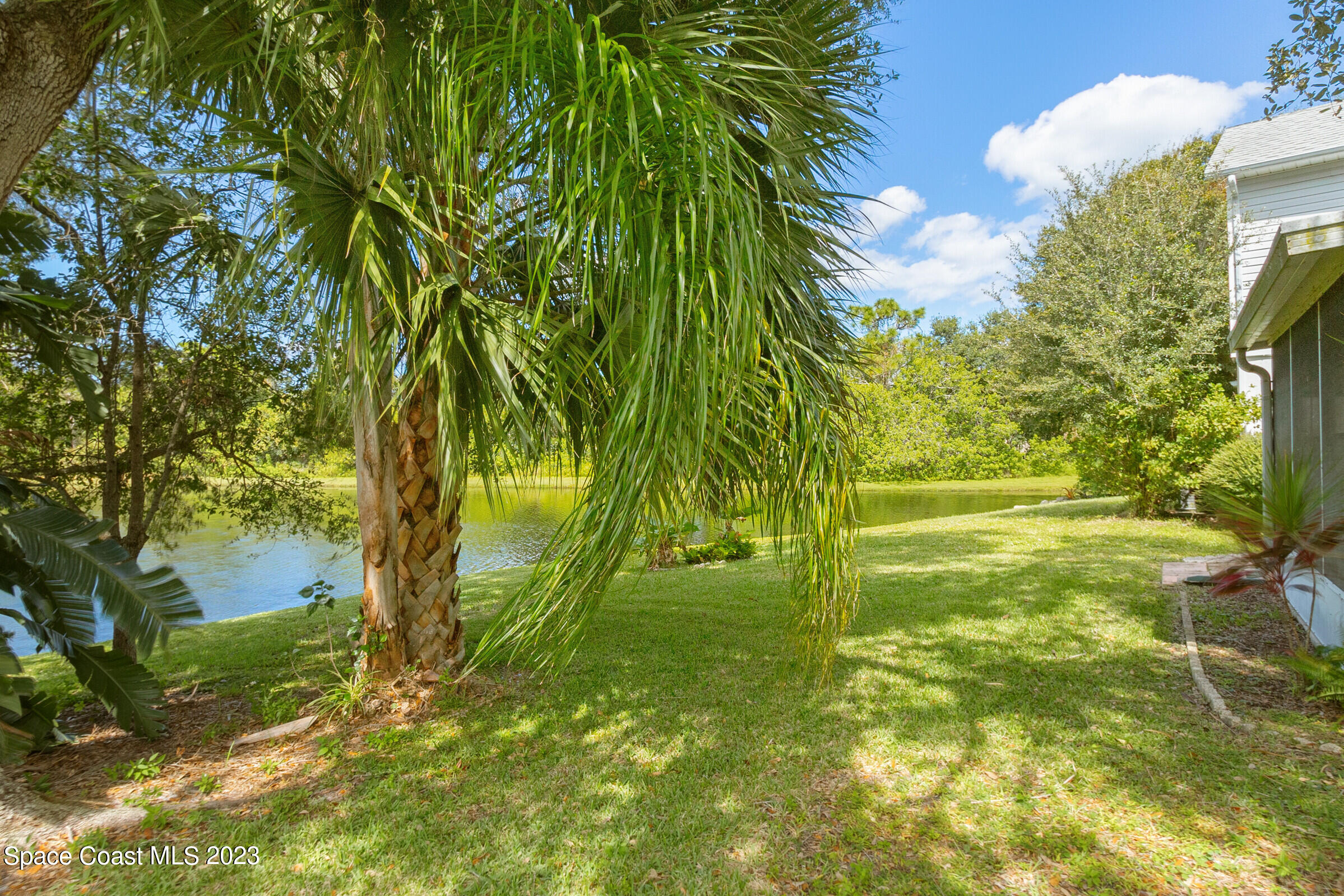2332 Skywind Circle Melbourne, FL 32935 - Photo 6 of 34 a view of a yard with plants and a large tree