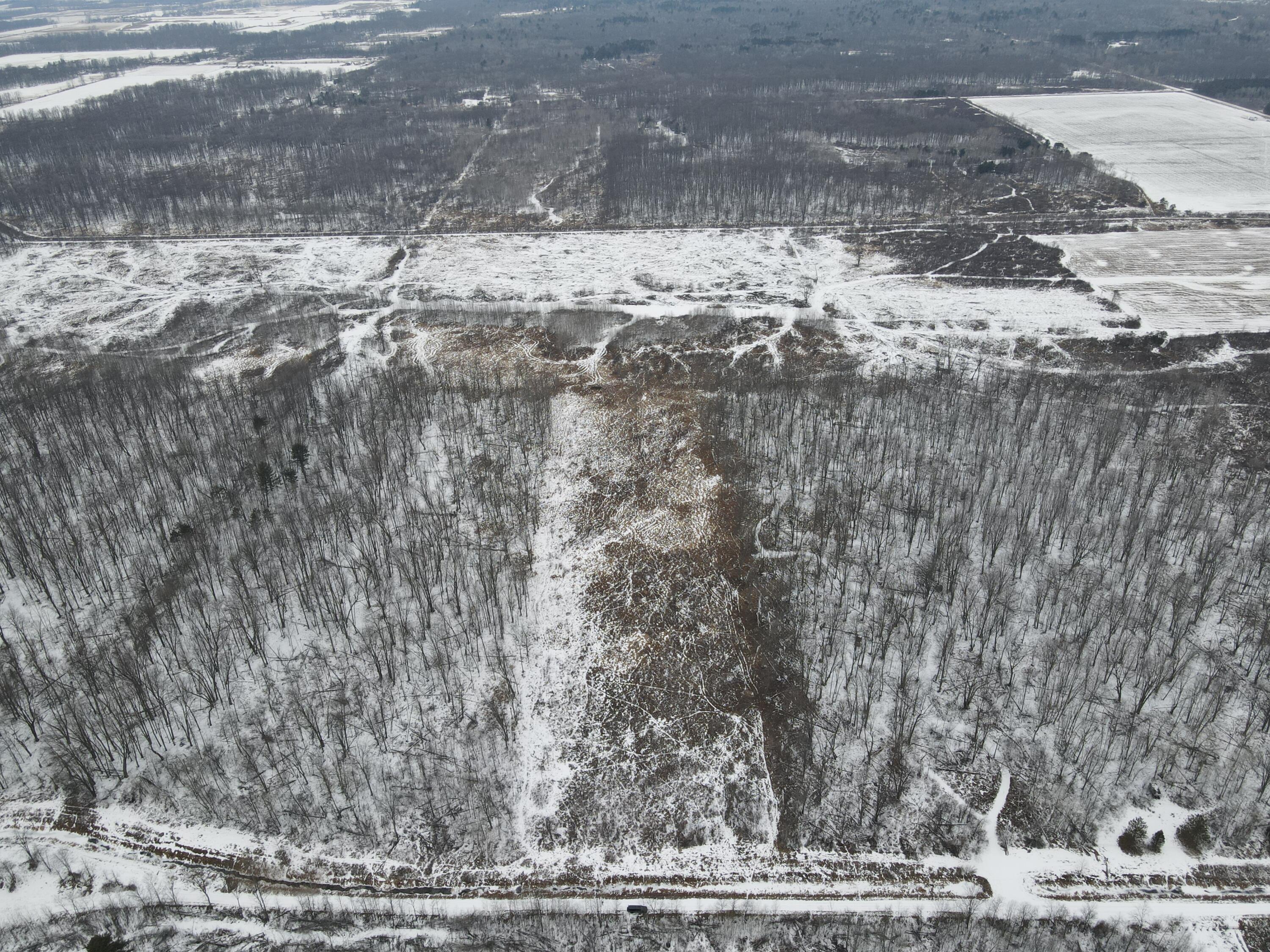 -vl Rhodes Road Turner, MI 48765 - Photo 5 of 12 DJI_0133
