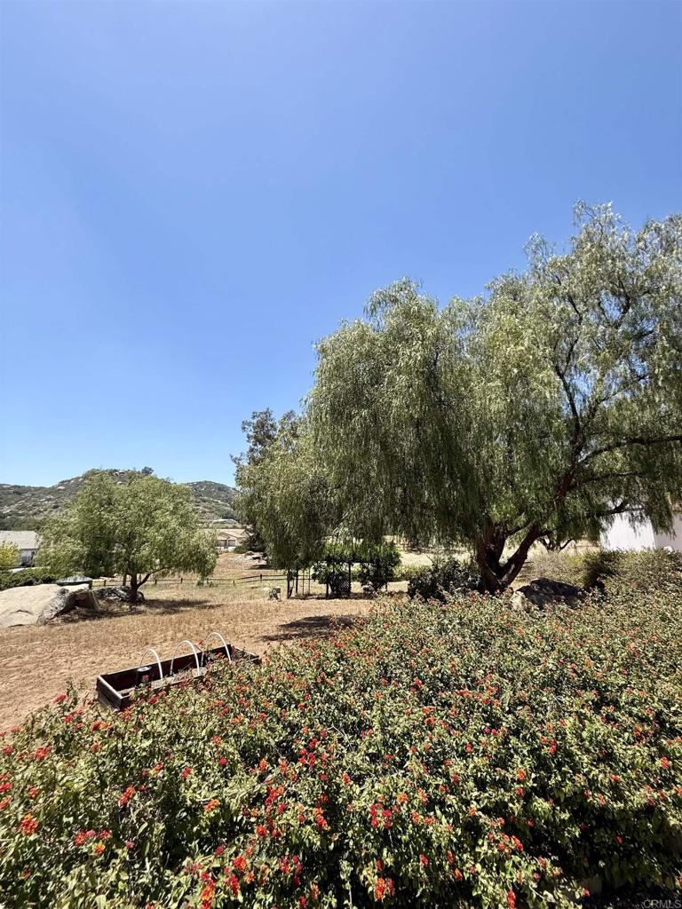 2527 Southern Oak Road Ramona, CA 92065 - Photo 53 of 56 a view of outdoor space and yard