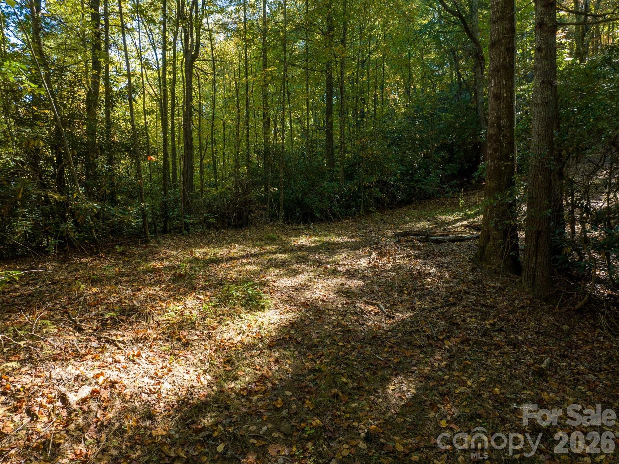 0 Big Hungry Road Flat Rock, NC 28731 - Photo 17 of 40 a view of outdoor space and yard