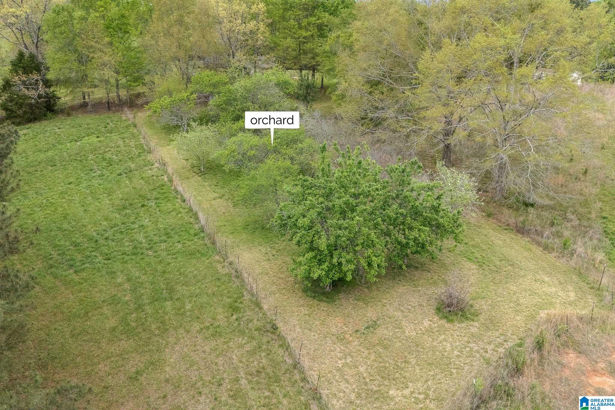 1749 McCollum Church Road Lineville, AL 36266 - Photo 61 of 66