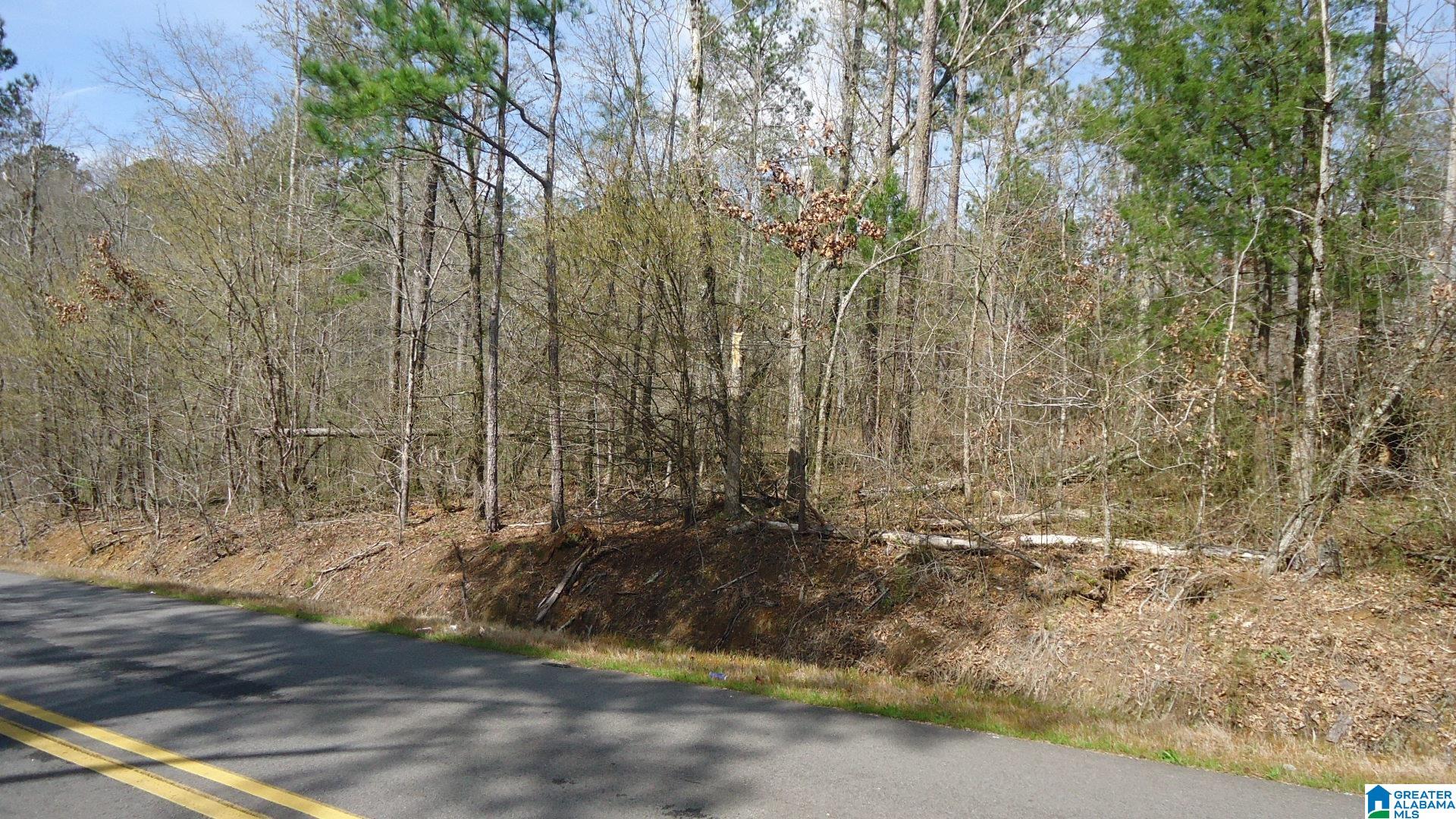 551 Grayton Road South Ohatchee, AL 36271 - Photo 6 of 12