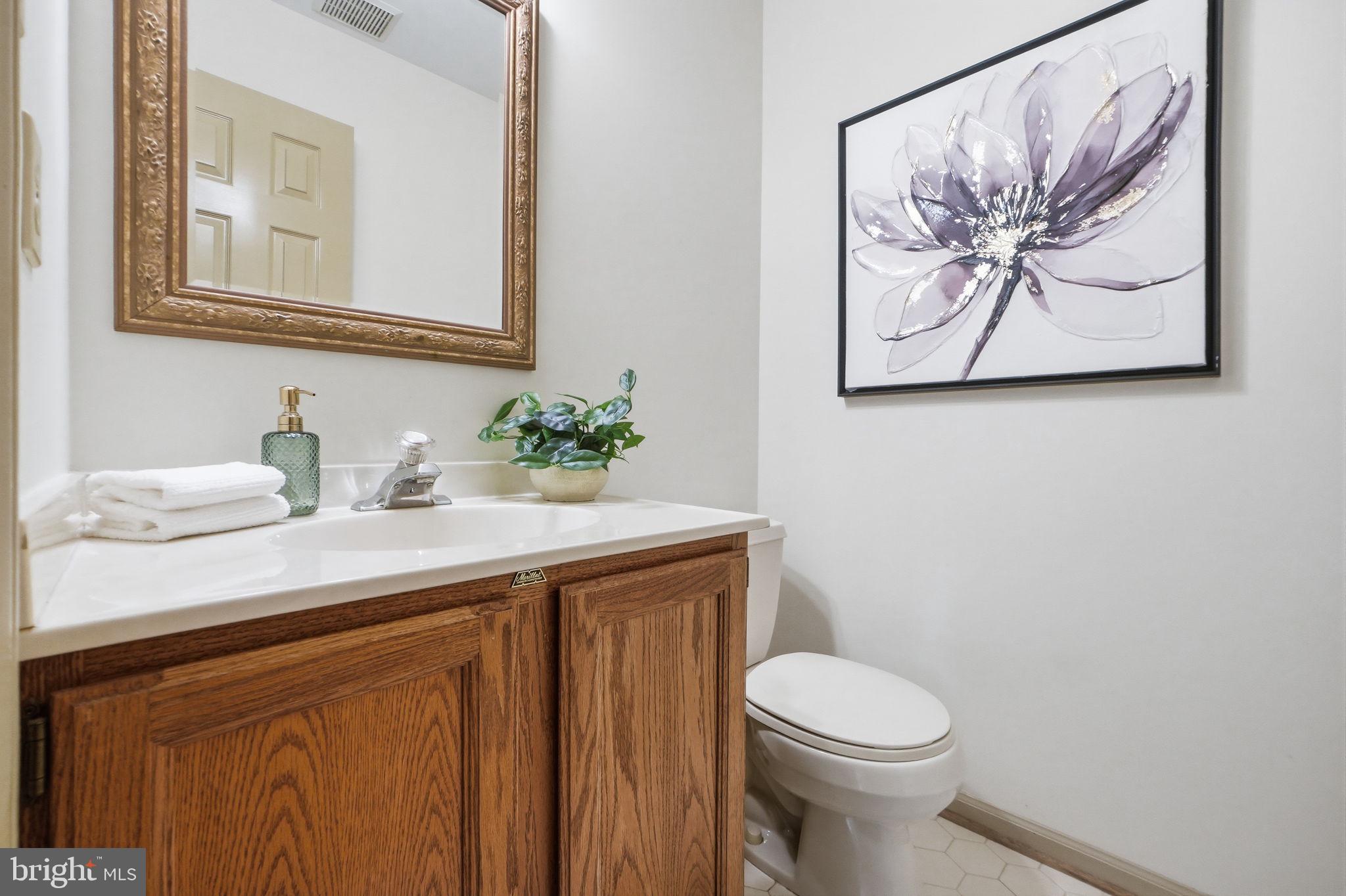 13702 Springstone Court Clifton, VA 20124 - Photo 19 of 50 Powder room