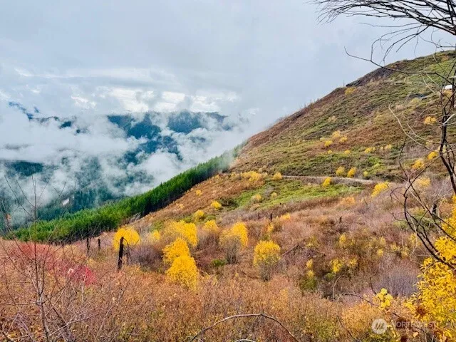 a view of lake with green space