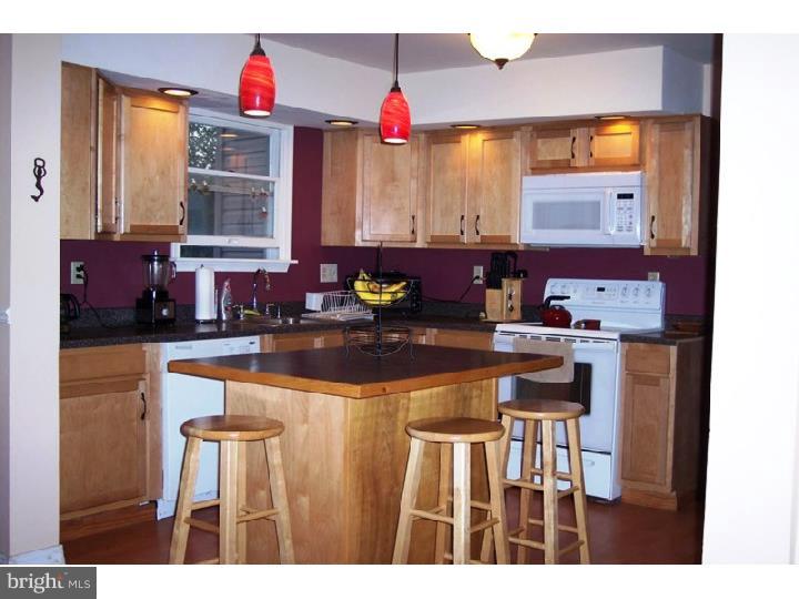 184 Green Hill Road Barto, PA 19504 - Photo 4 of 7 Kitchen
