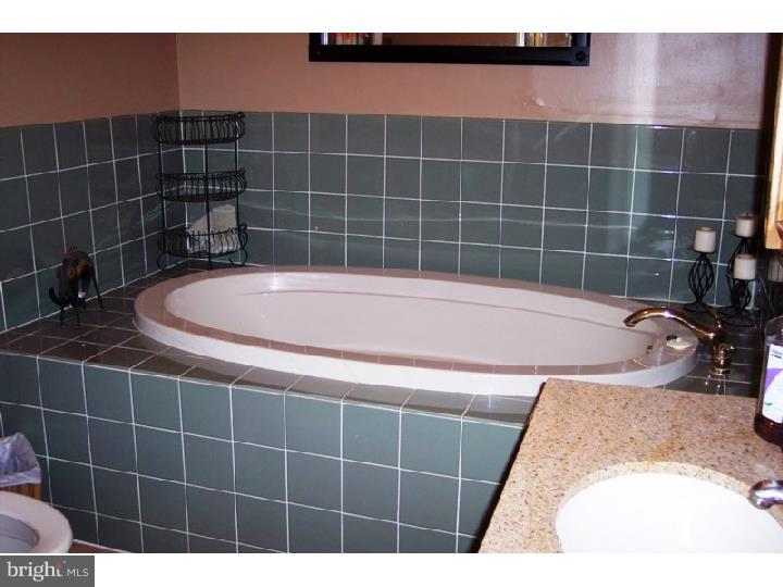 184 Green Hill Road Barto, PA 19504 - Photo 6 of 7 Bathroom