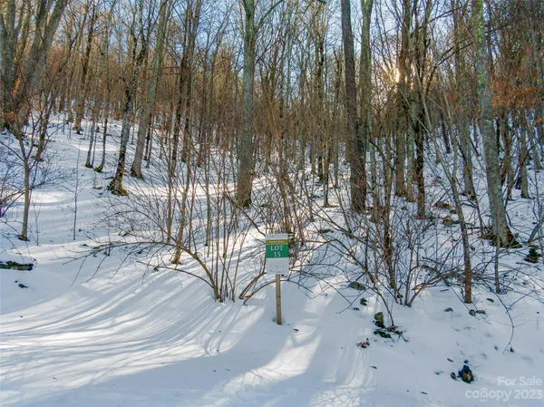 $120,000 | Lot 15 Mountain Gait Drive, Mars Hill, NC 28754