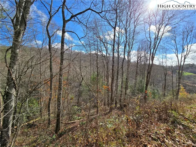 $100,000 | Lot 24-25 Riverstone Laurel Springs, Laurel Springs, NC 28644