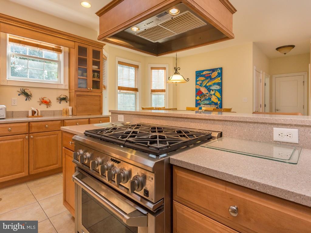 100 Blackpool Road Rehoboth Beach, DE 19971 - Photo 3 of 18 Gallery Image 3