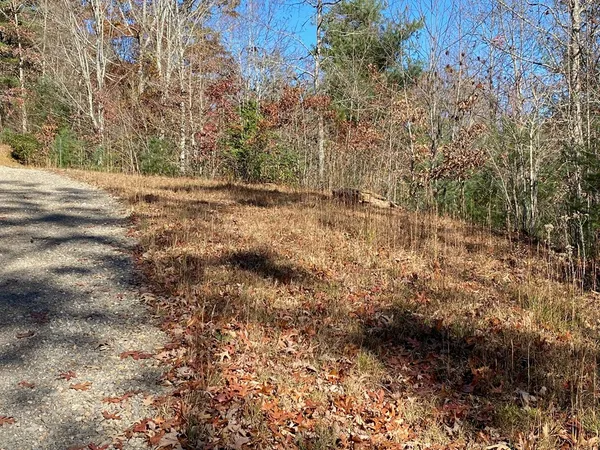 a view of dirt field with trees