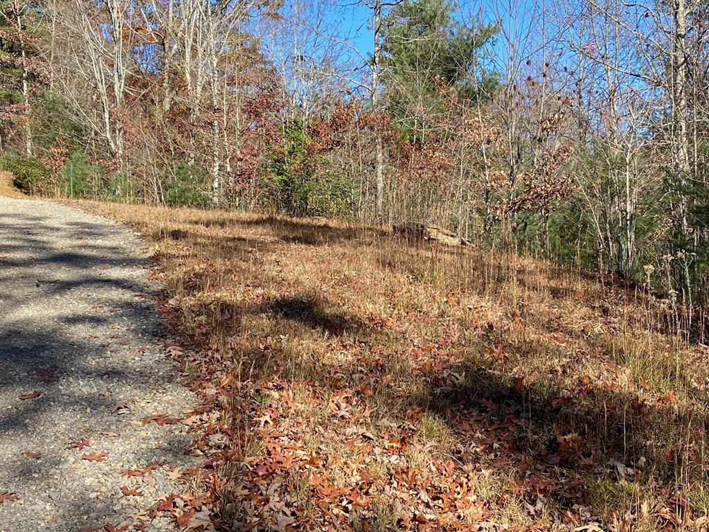 Lot 24 Thimble Loop Murphy, NC 28906 - Photo 4 of 5 a view of dirt field with trees