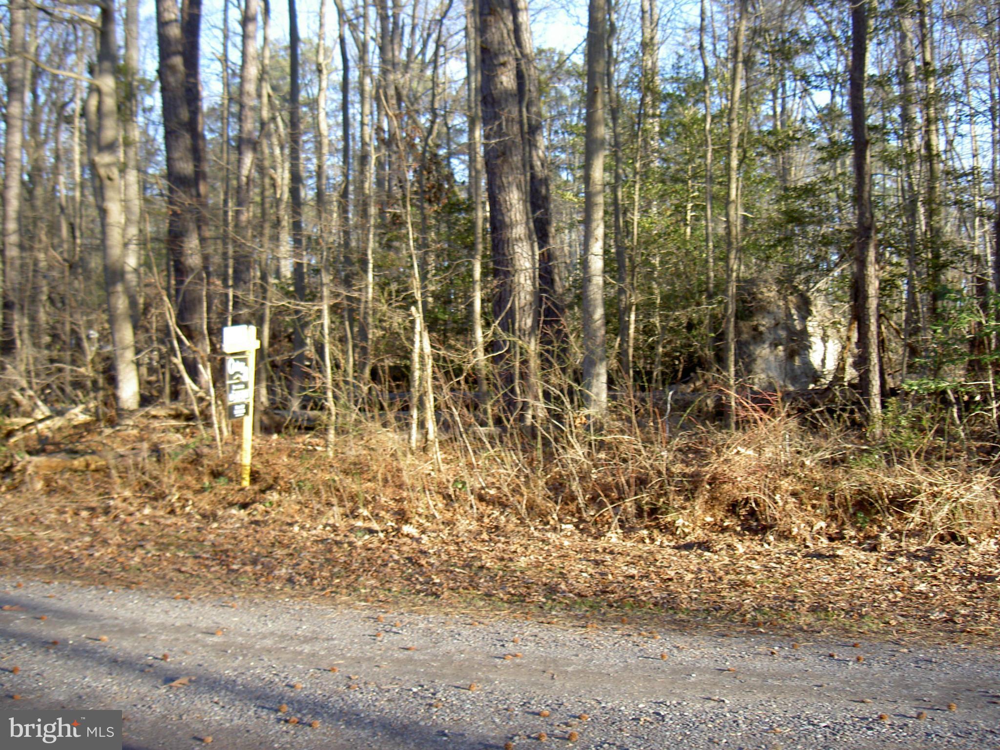 Brooks Road Colonial Beach, VA 22443 - Photo 1 of 1 View