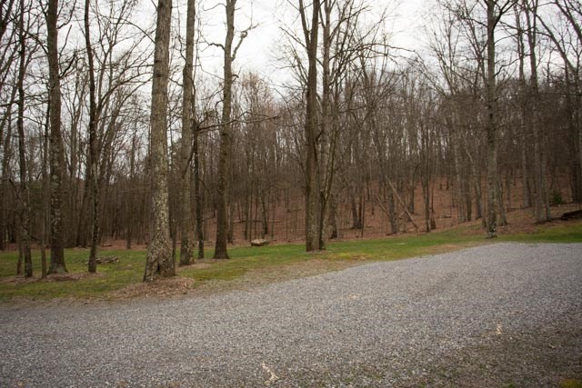 2146 Strawderman Road Mathias, WV 26812 - Photo 18 of 20 a view of outdoor space with trees