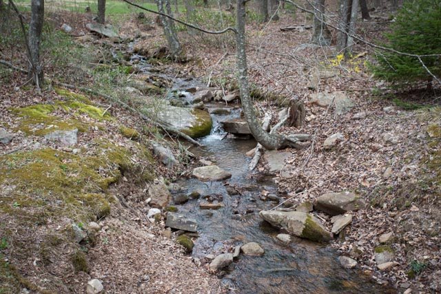 2146 Strawderman Road Mathias, WV 26812 - Photo 20 of 20 a view of lot of green space