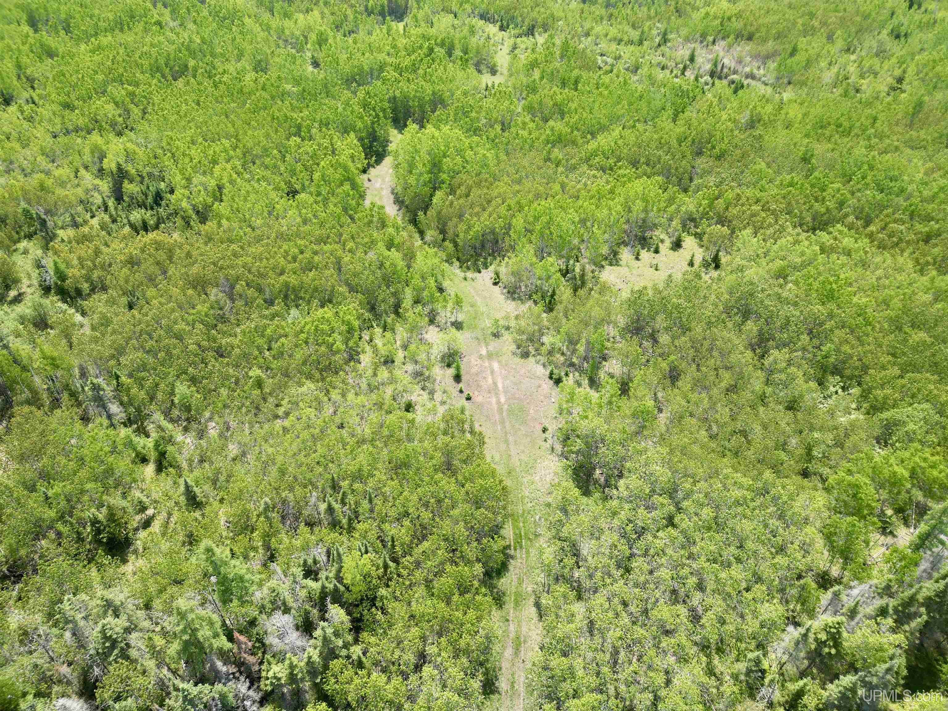 400 Rd Perronville Mi 49807 Road Bark River, MI 49807 - Photo 8 of 30