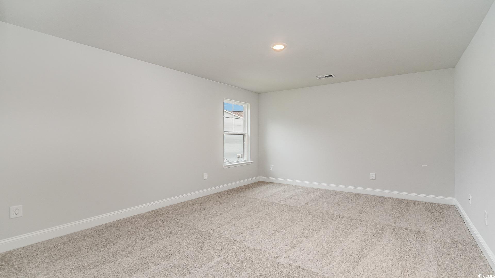 868 Ireland Drive Longs, SC 29568 - Photo 20 of 39