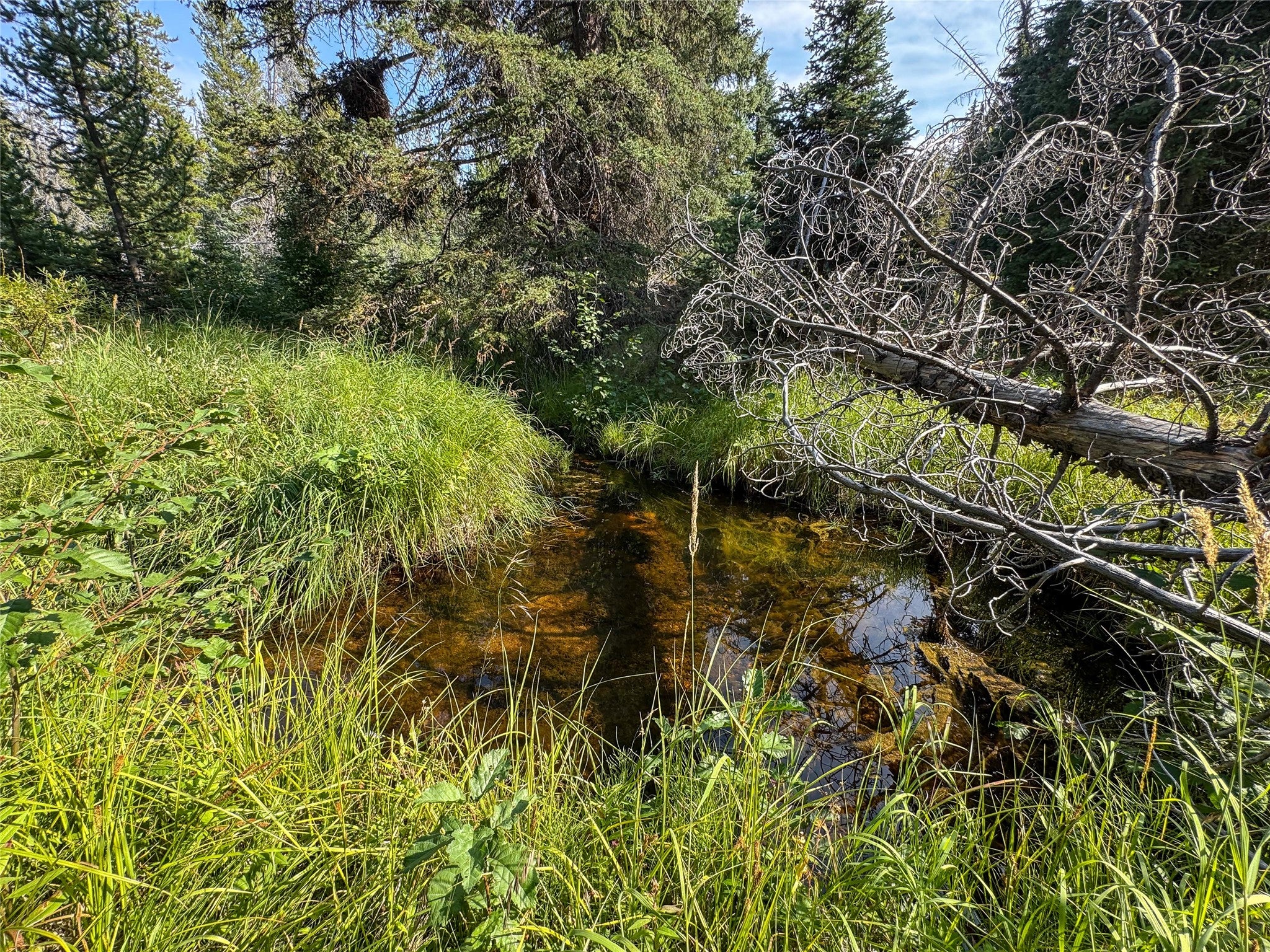 7379 Hahn Creek Road Elliston, MT 59728 - Photo 40 of 69 Gallery Image 40