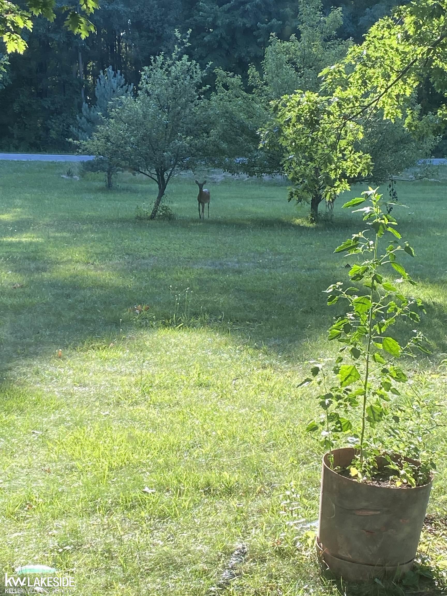 3035 Breen Road Emmett, MI 48022 - Photo 26 of 41 Gallery Image 26