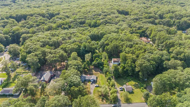 a view of a lush green forest