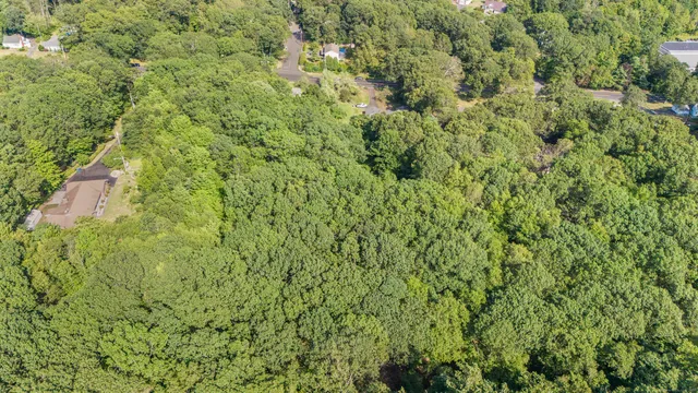 a backyard of a house with lots of green space and trees all around