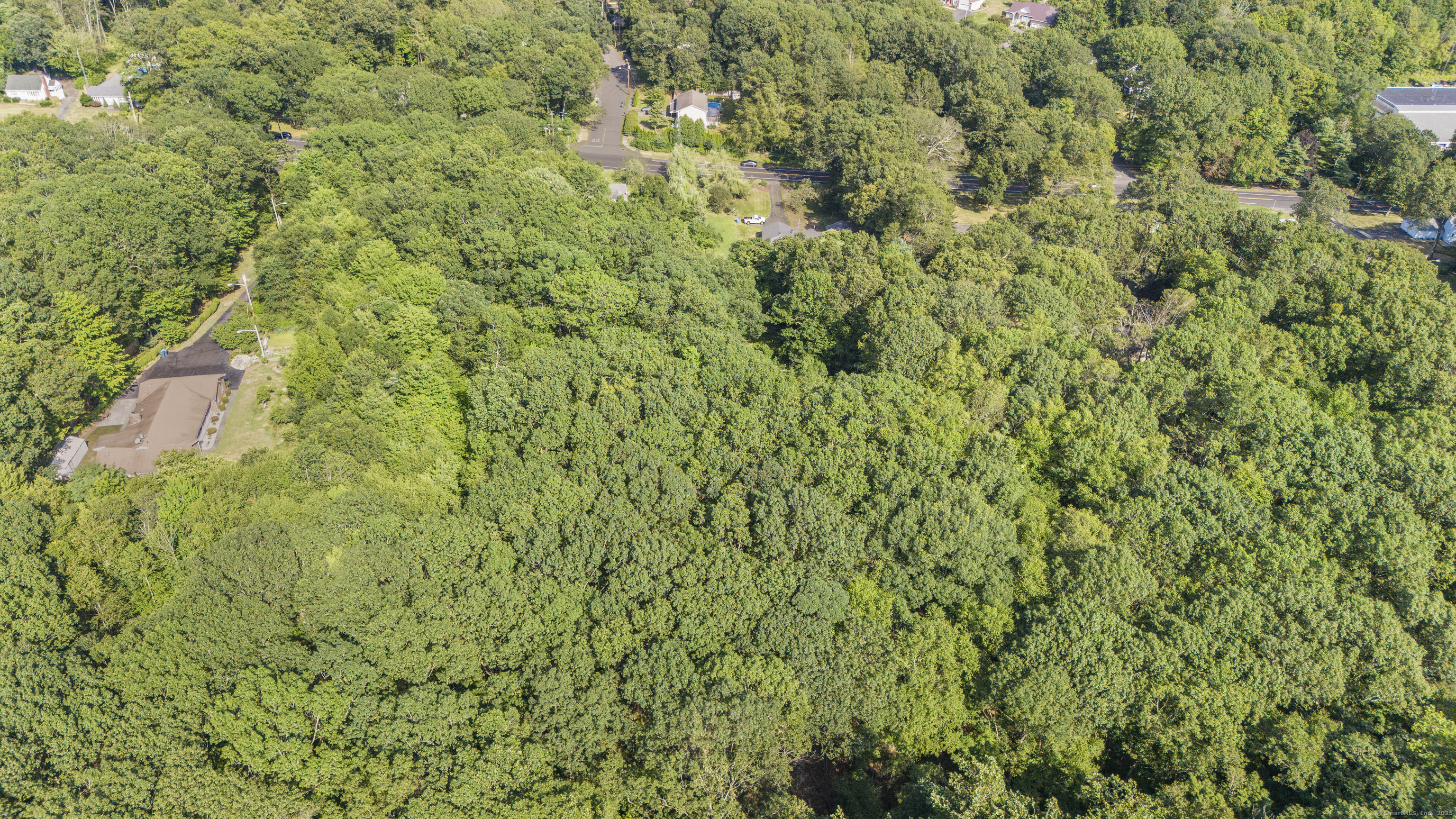 1378 Shepard Avenue Hamden, CT 06518 - Photo 14 of 15 a view of a lush green forest