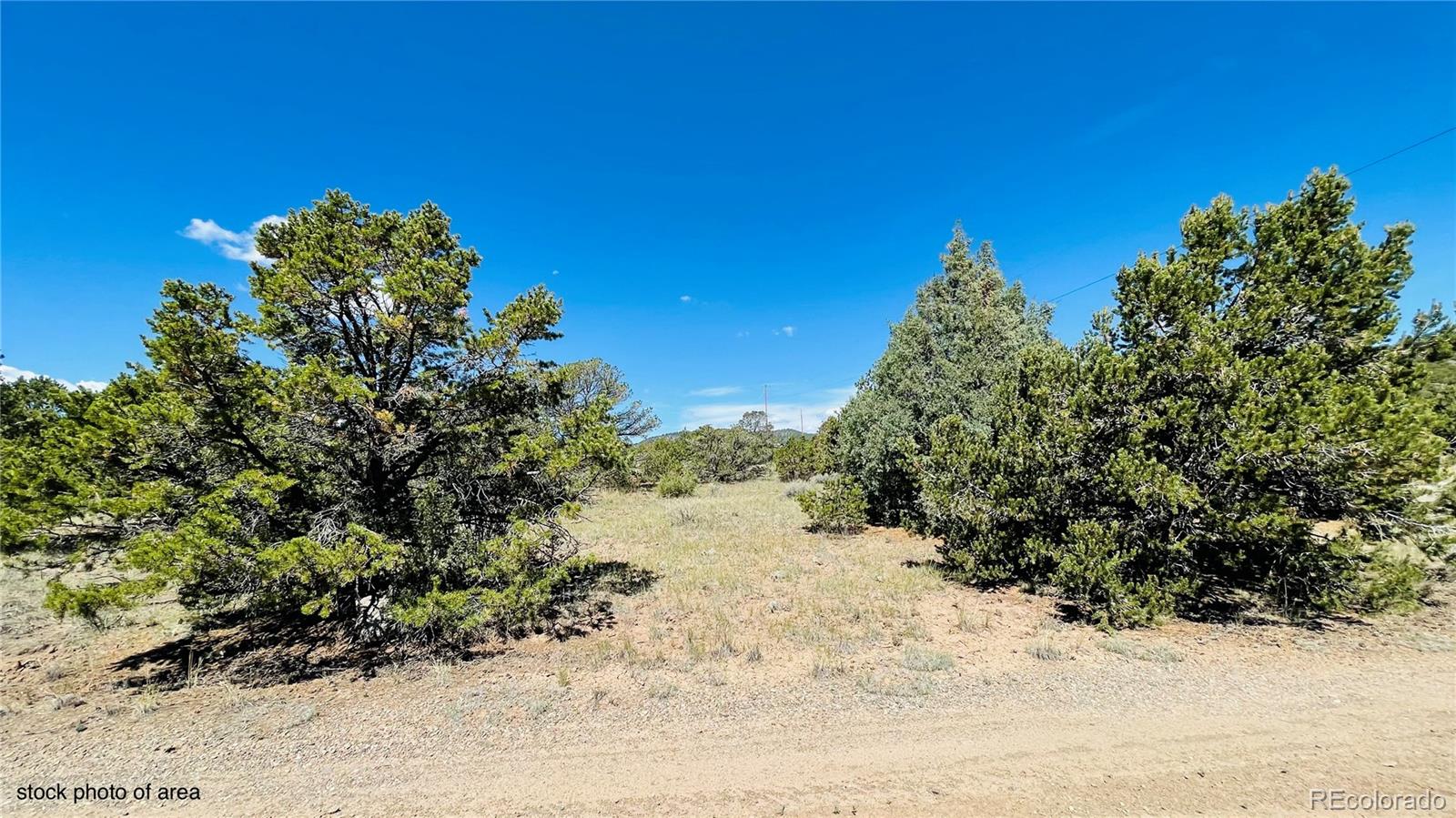 976 Kenosha Road South Fork, CO 81154 - Photo 8 of 8