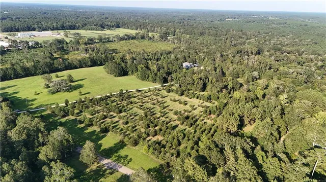 $116,600 | Tbd John D Wood Road, Franklinton, LA 70438