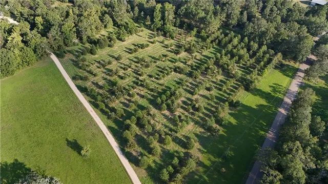 $116,600 | Tbd John D Wood Road, Franklinton, LA 70438