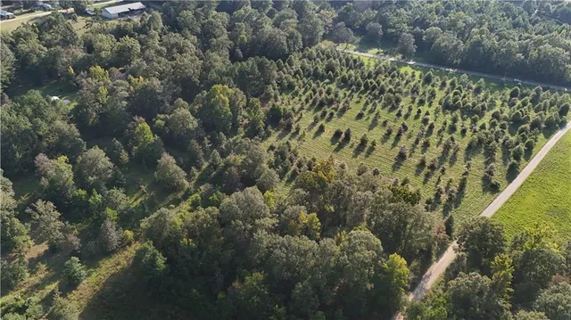 $116,600 | Tbd John D Wood Road, Franklinton, LA 70438