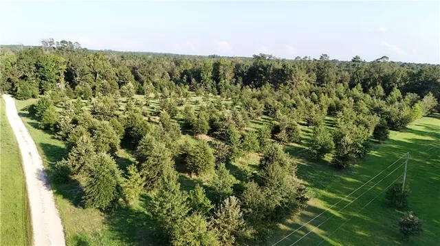 $116,600 | Tbd John D Wood Road, Franklinton, LA 70438