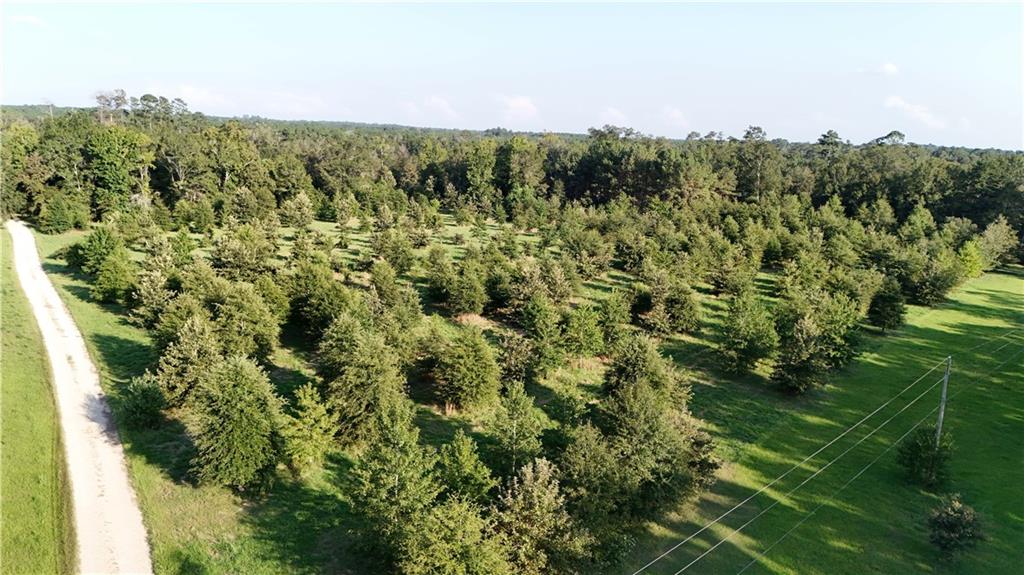 Tbd John D Wood Road Franklinton, LA 70438 - Photo 16 of 29