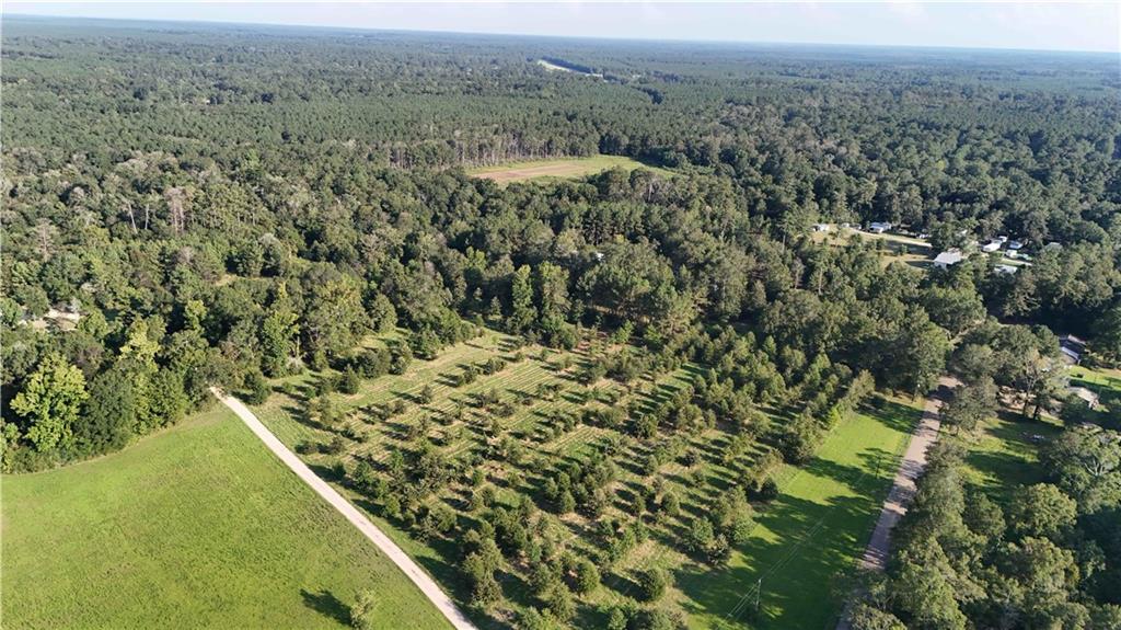 Tbd John D Wood Road Franklinton, LA 70438 - Photo 2 of 29