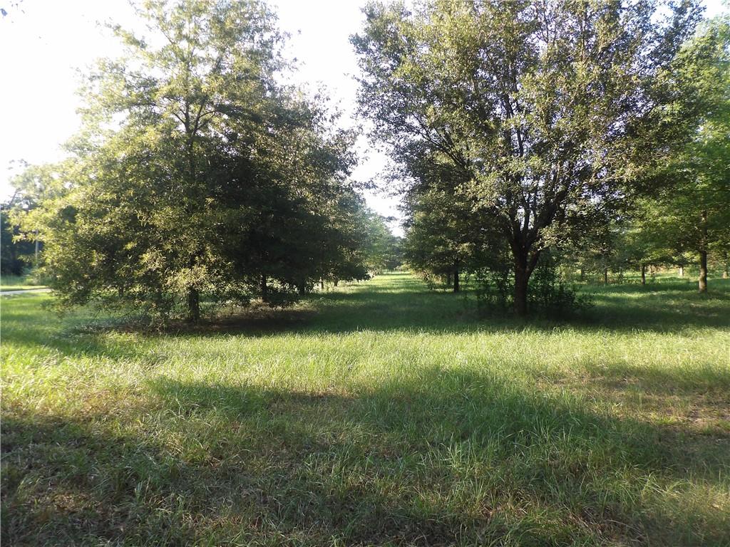 Tbd John D Wood Road Franklinton, LA 70438 - Photo 22 of 29