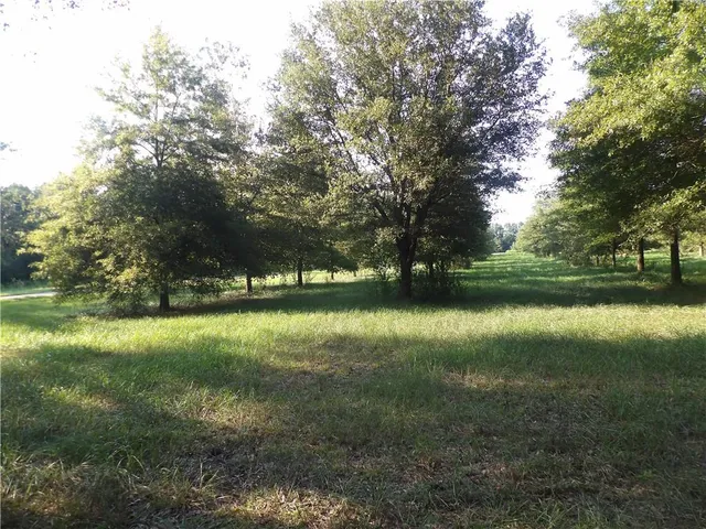 $116,600 | Tbd John D Wood Road, Franklinton, LA 70438