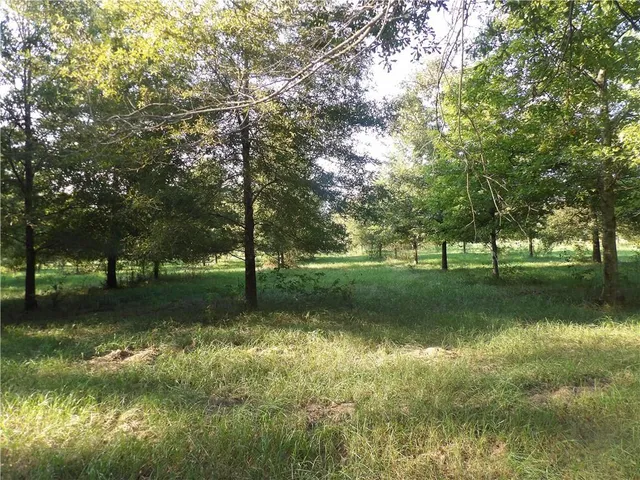 $116,600 | Tbd John D Wood Road, Franklinton, LA 70438