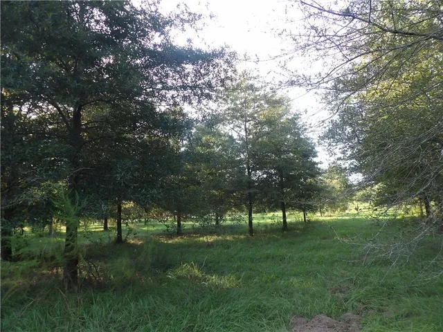 $116,600 | Tbd John D Wood Road, Franklinton, LA 70438