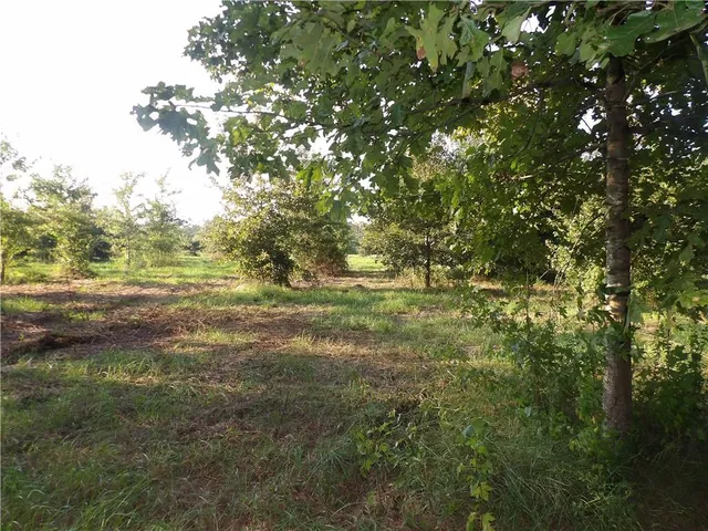 $116,600 | Tbd John D Wood Road, Franklinton, LA 70438