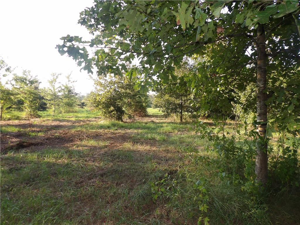 Tbd John D Wood Road Franklinton, LA 70438 - Photo 26 of 29