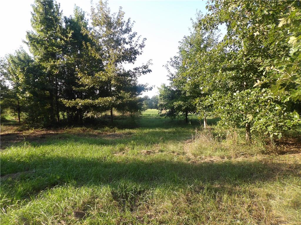 Tbd John D Wood Road Franklinton, LA 70438 - Photo 27 of 29