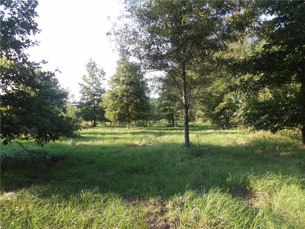 Tbd John D Wood Road Franklinton, LA 70438 - Photo 28 of 29