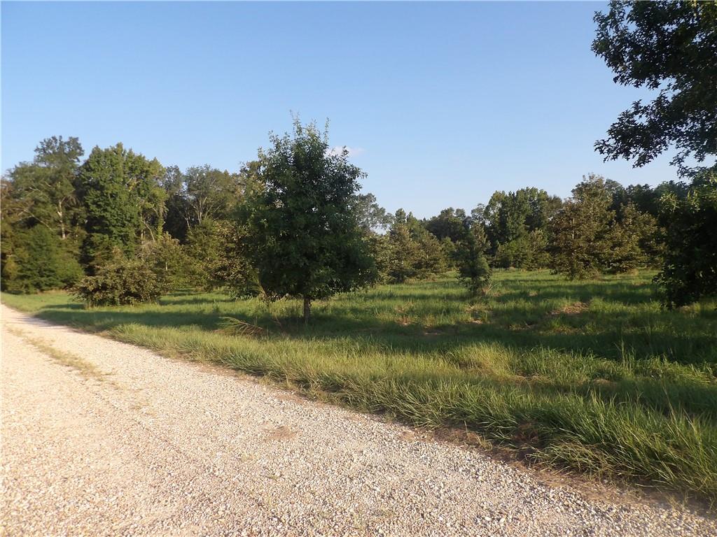 Tbd John D Wood Road Franklinton, LA 70438 - Photo 29 of 29
