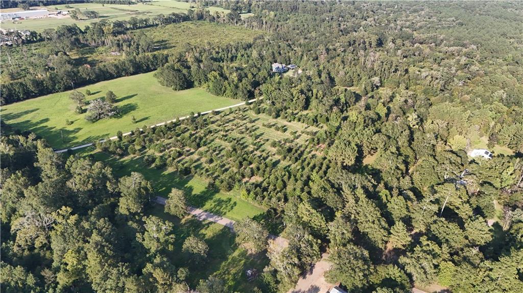 Tbd John D Wood Road Franklinton, LA 70438 - Photo 7 of 29