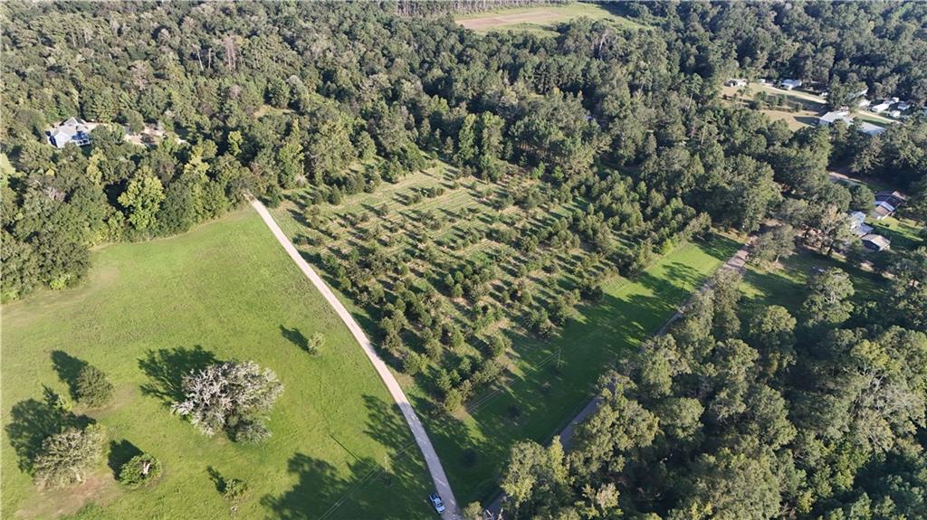 Tbd John D Wood Road Franklinton, LA 70438 - Photo 8 of 29