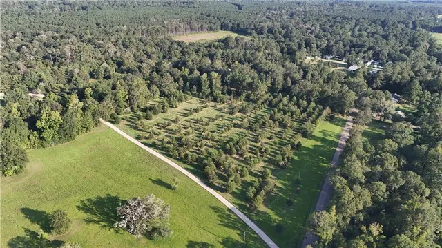 $116,600 | Tbd John D Wood Road, Franklinton, LA 70438