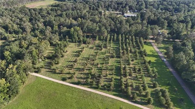 $116,600 | Tbd John D Wood Road, Franklinton, LA 70438