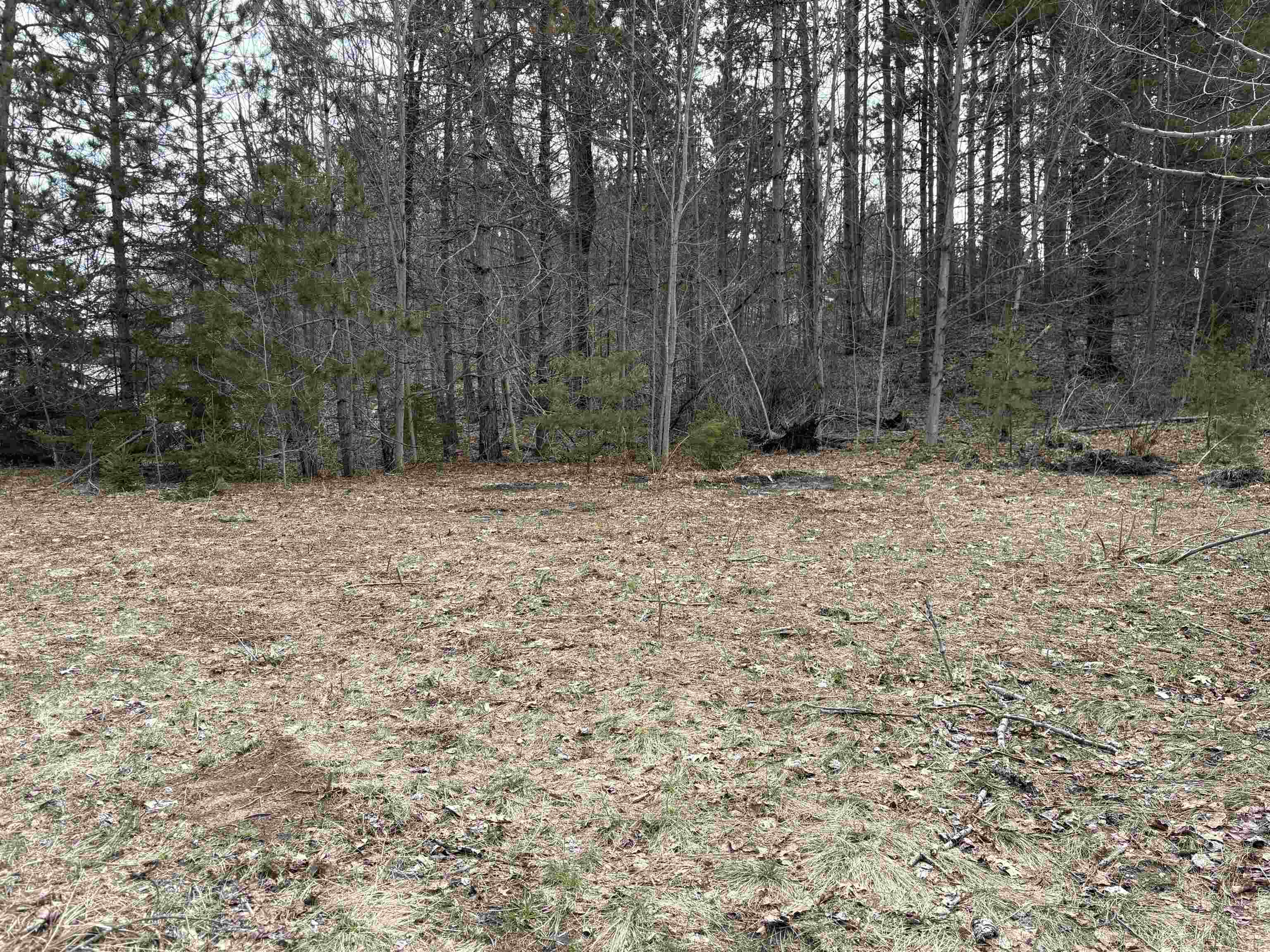 2450 North Marshall Road Beulah, MI 49617 - Photo 4 of 21
