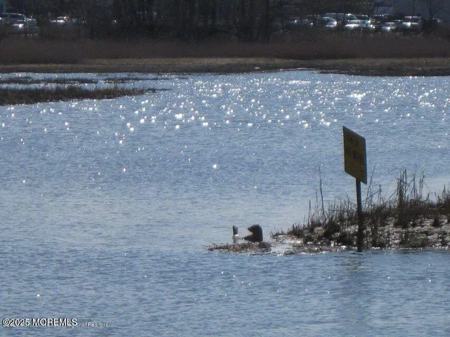 a view of a dry yard