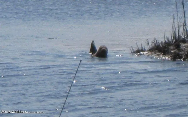 a view of city view with lake view