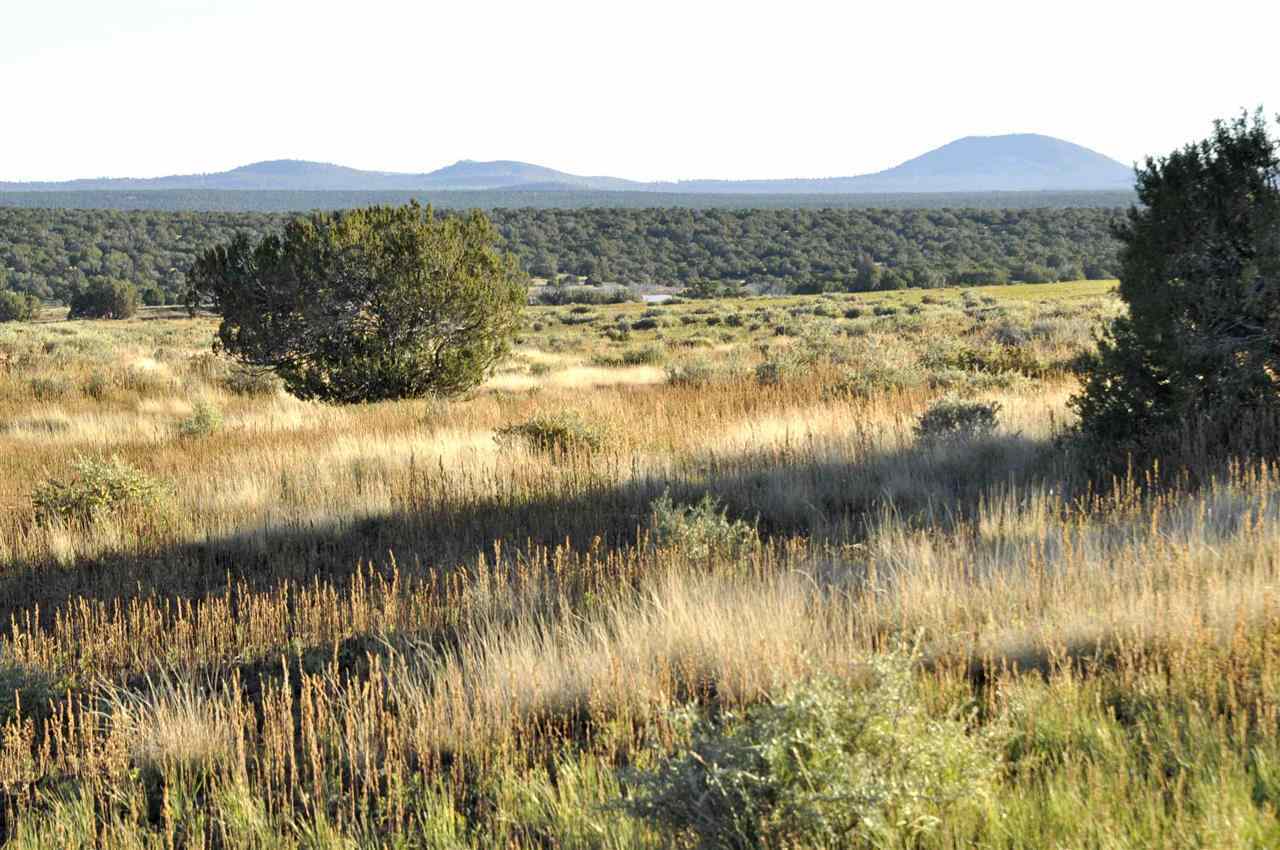 14 Sec 15 T11n R23e Show Low, AZ 85901 - Photo 13 of 13