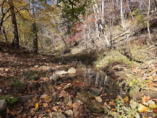 $59,999 | 0 Mineral Drive, Houston, MO 65483